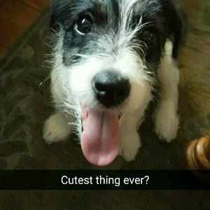 Meet your Posher, Karen